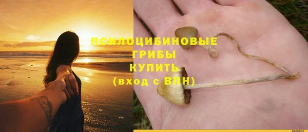 шишки Бутурлиновка