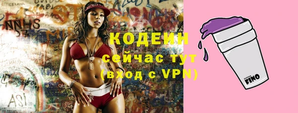 дмт Вяземский