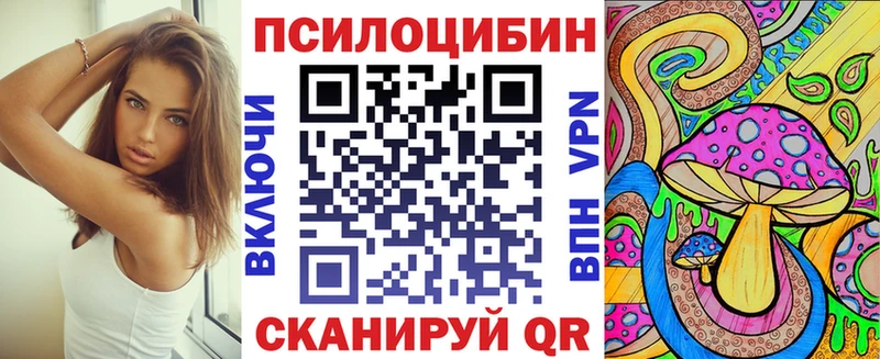 мега как войти  Дмитровск  Псилоцибиновые грибы Psilocybe 